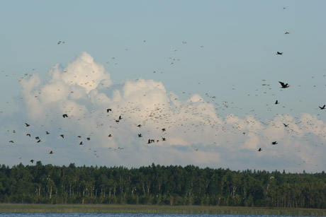 050928_027web.jpg