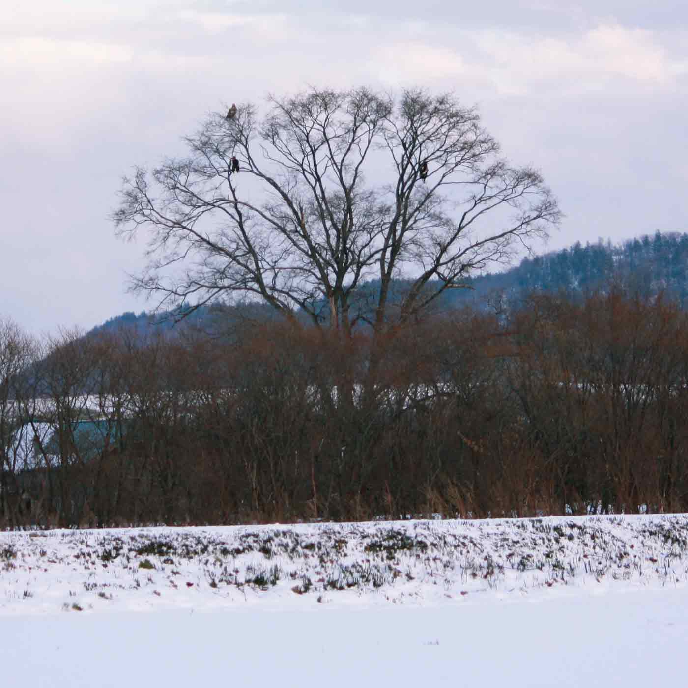 091129_002.jpg