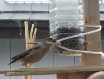 2008_04050012.jpg