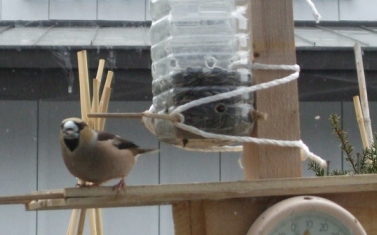 2008_04050013.jpg