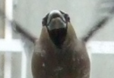 2008_04050016-11.jpg