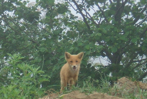 DSCF0777.jpg