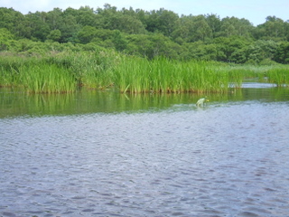DSCF0856-1.jpg