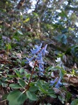 P5054018_1.jpg