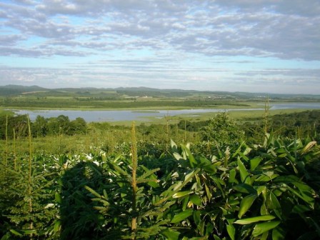 SANY0003.jpg