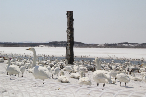_MG_1220.JPG