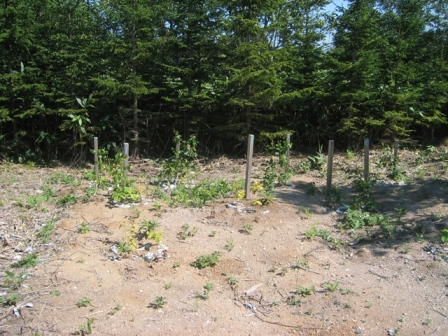 daido9011.jpg